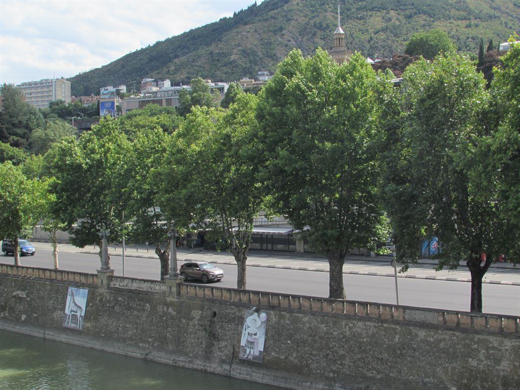 riverbank