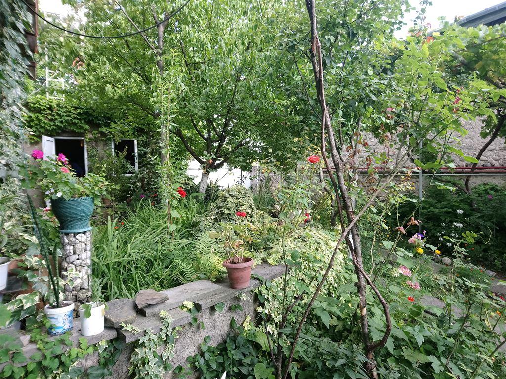 garden1