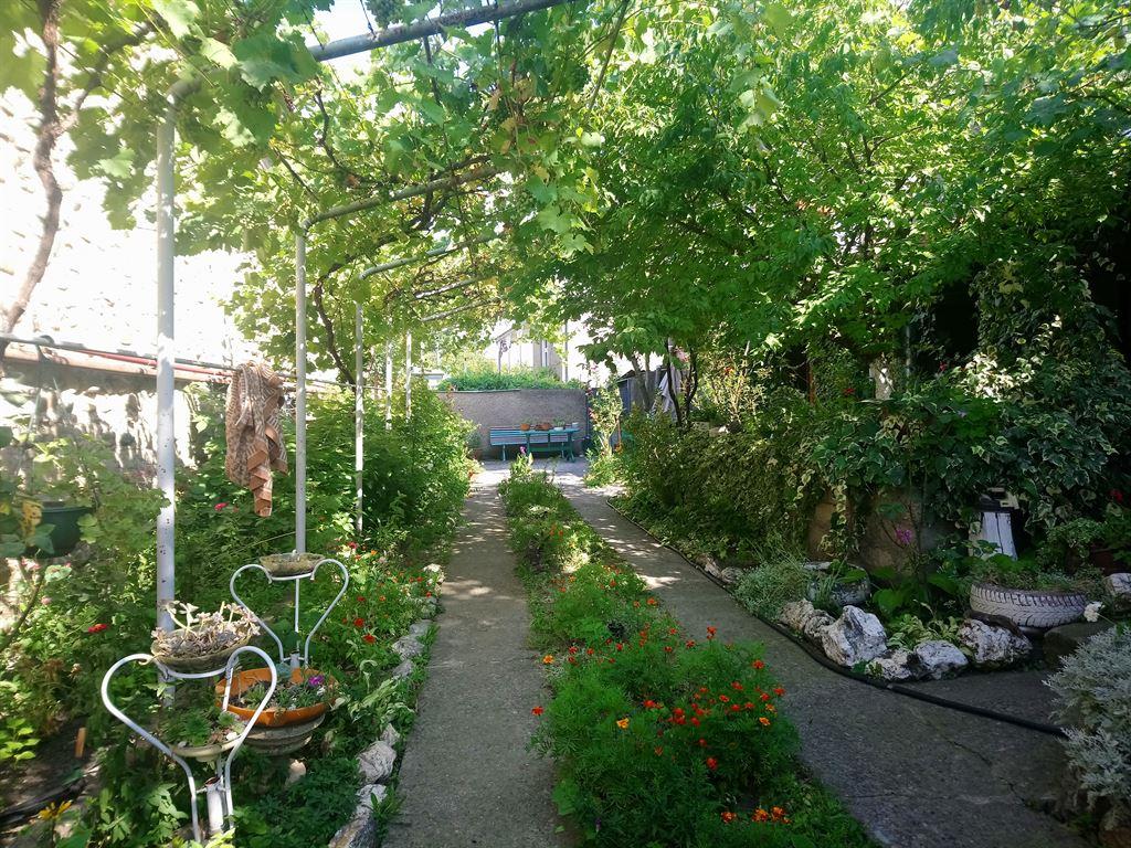 garden2