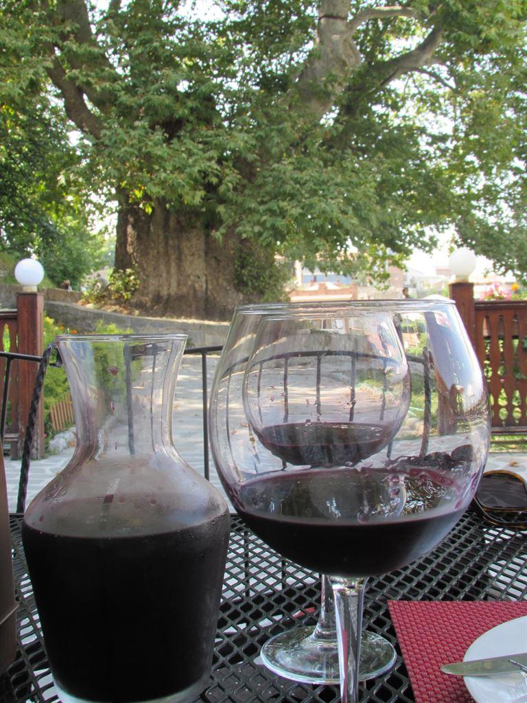 wine&planetree