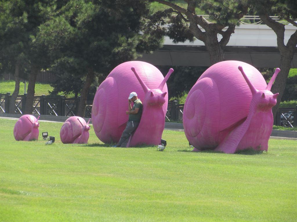 snails