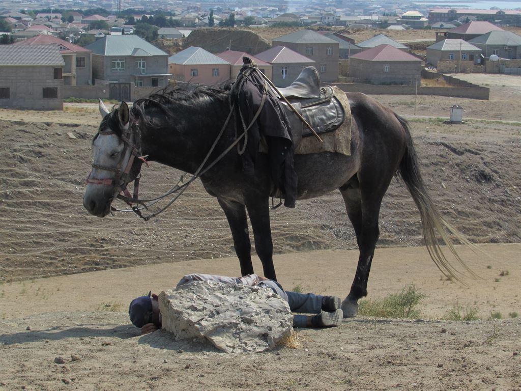 horse