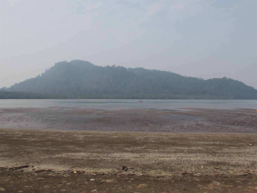 estuary