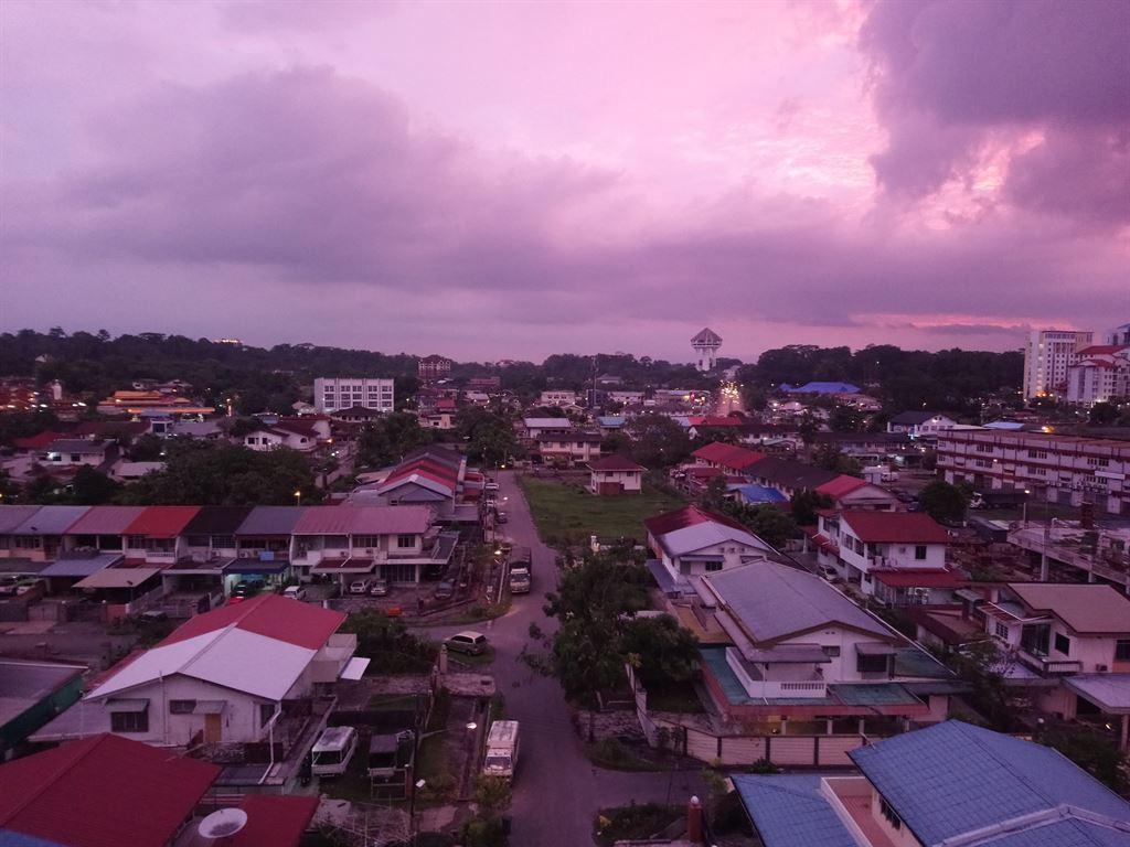 view