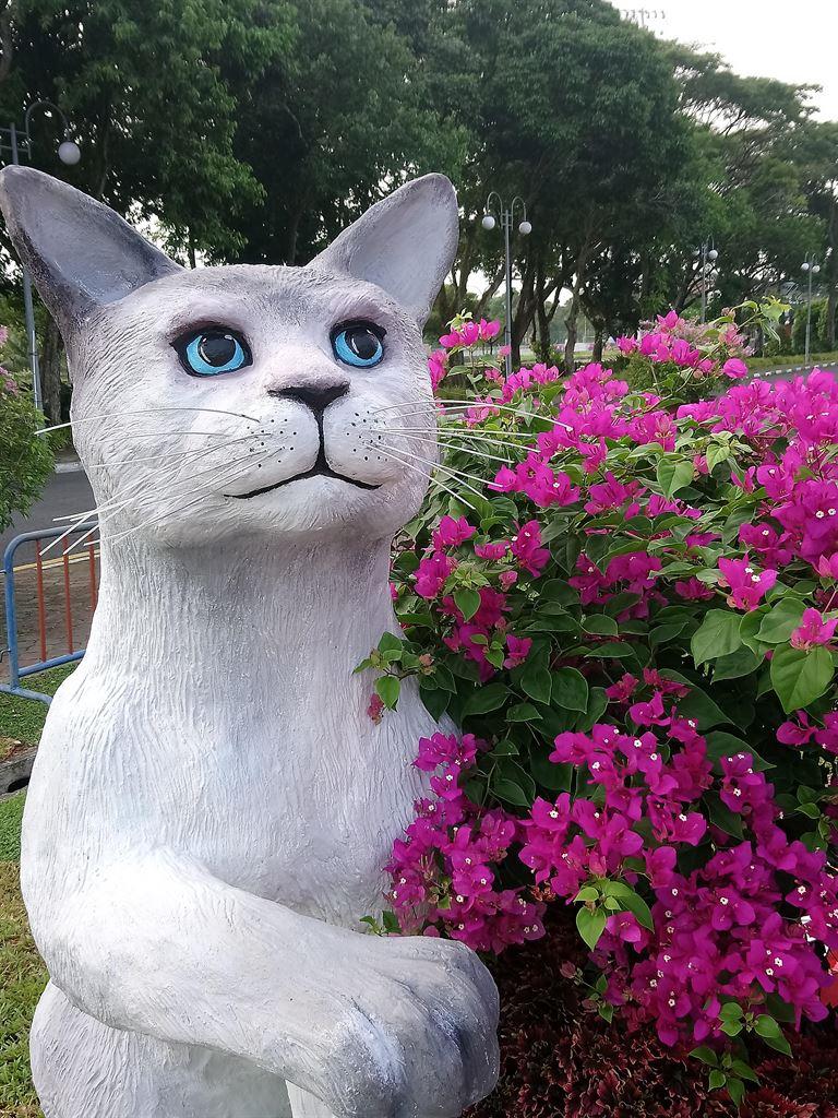 cat3