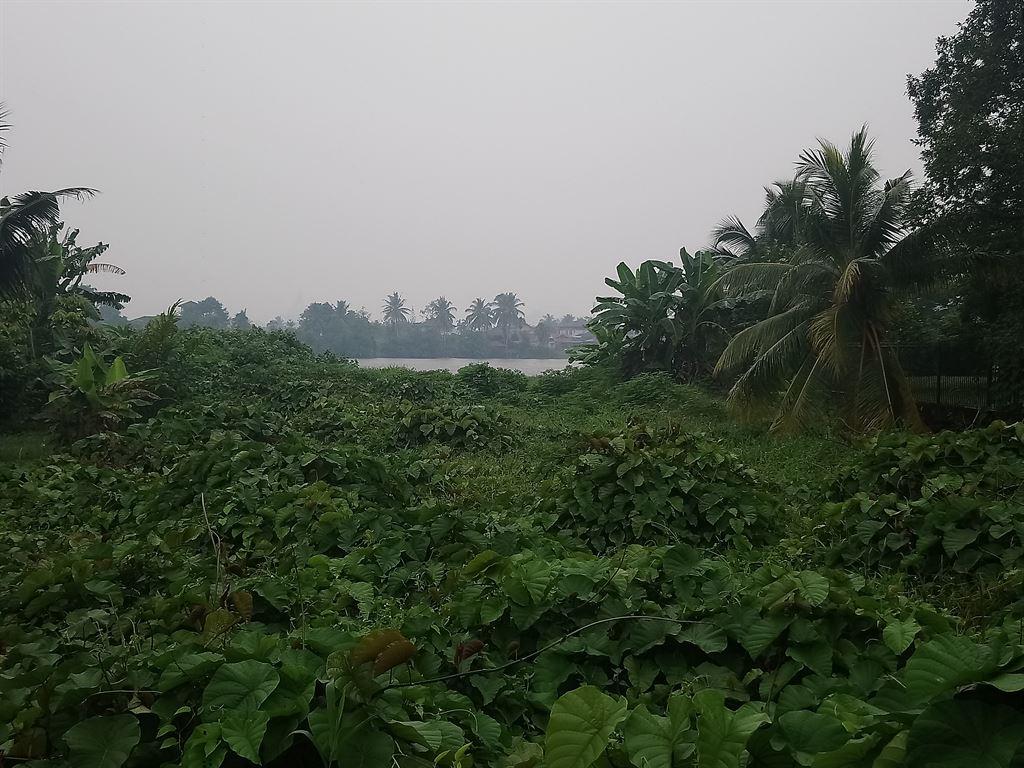 river