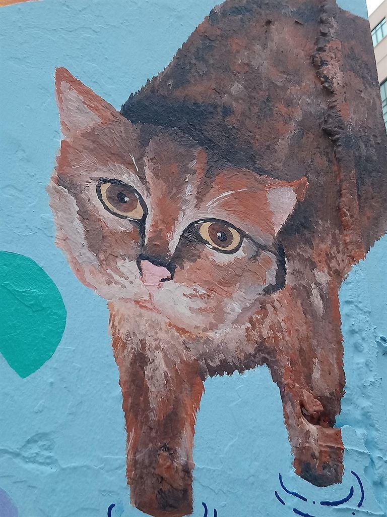 cat2