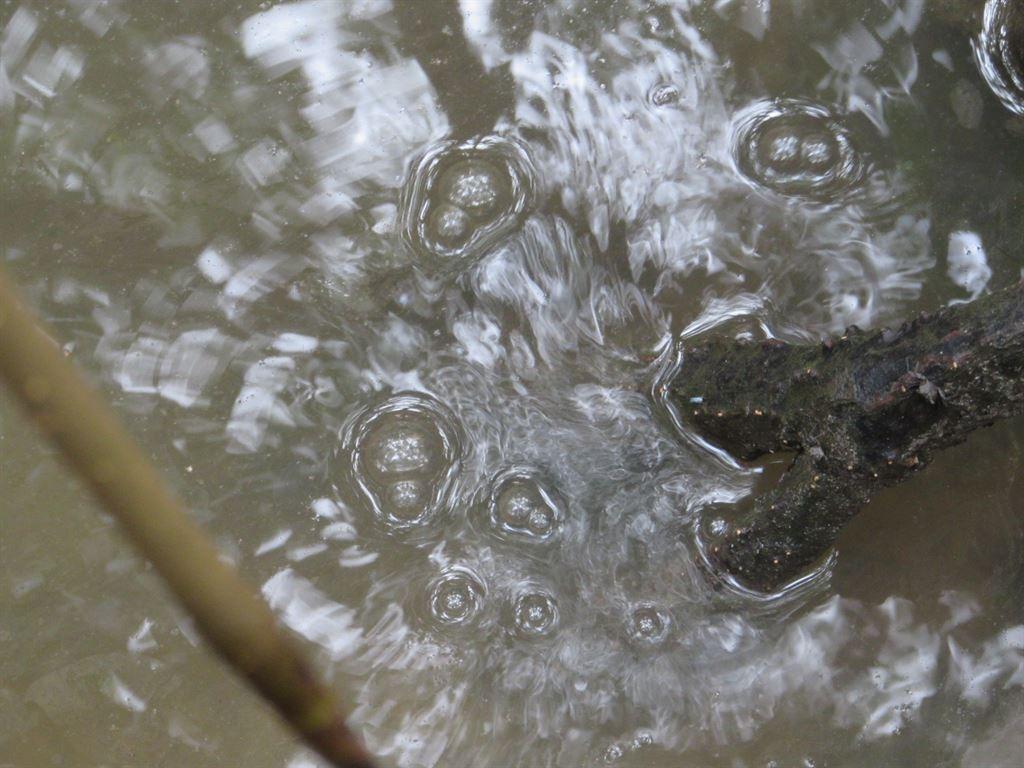 bubbles