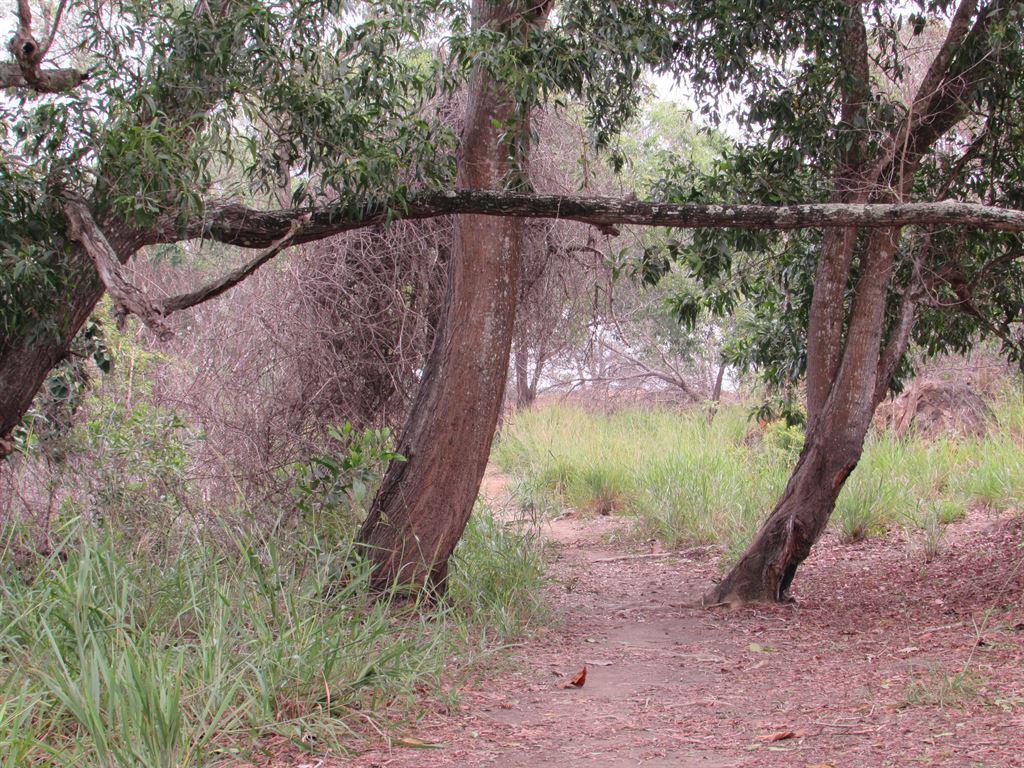path