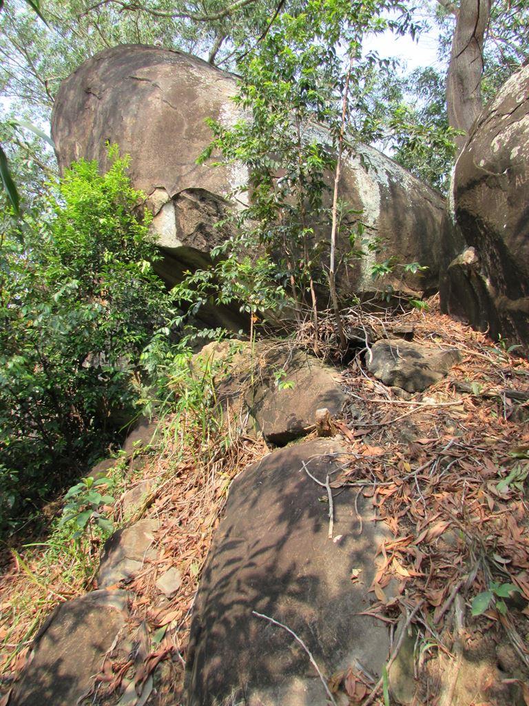 rocks
