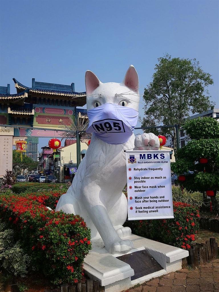 maskedcat