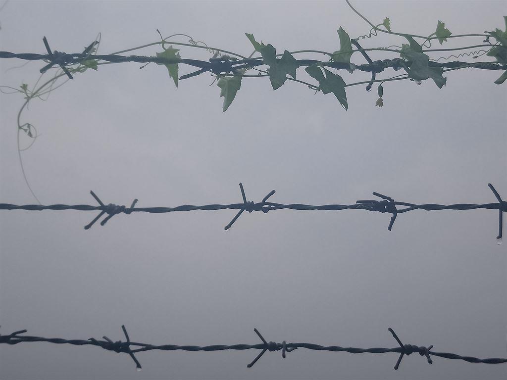wire