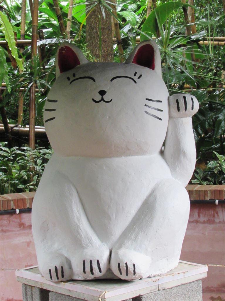 renocat