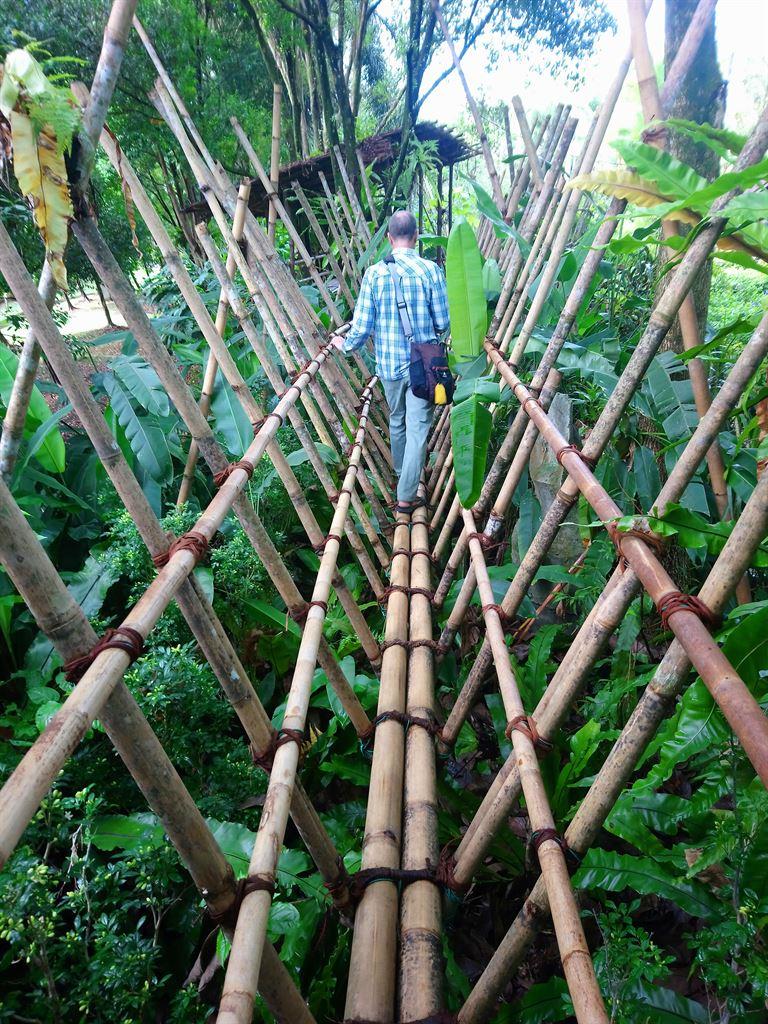 bridge