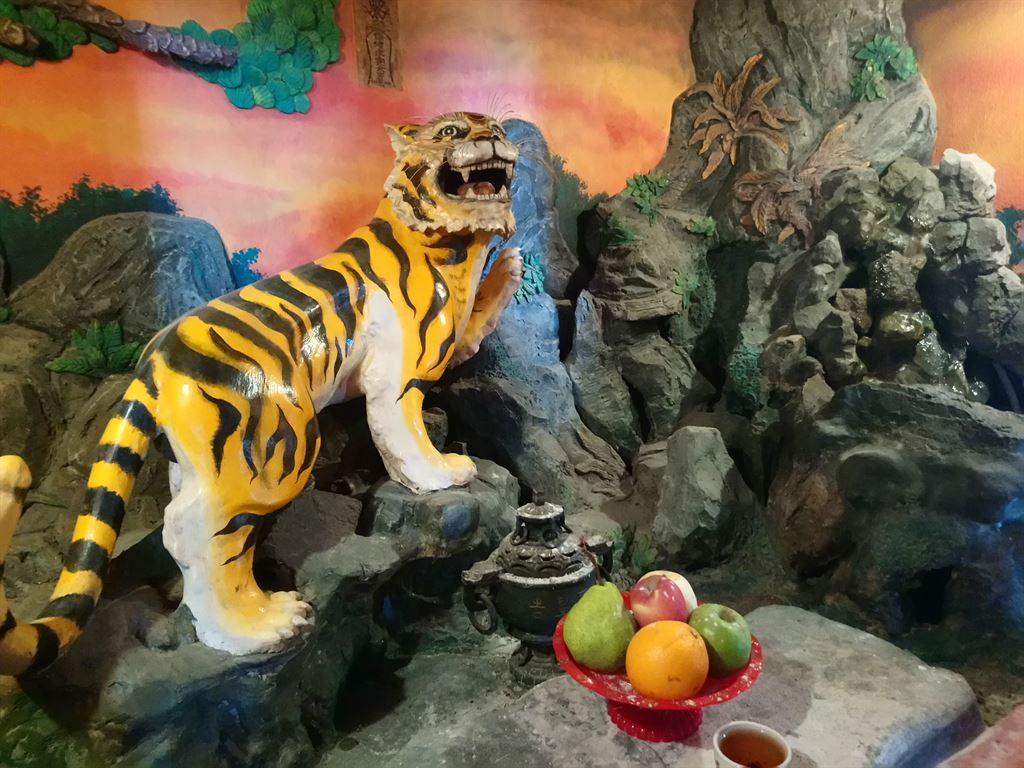 tiger