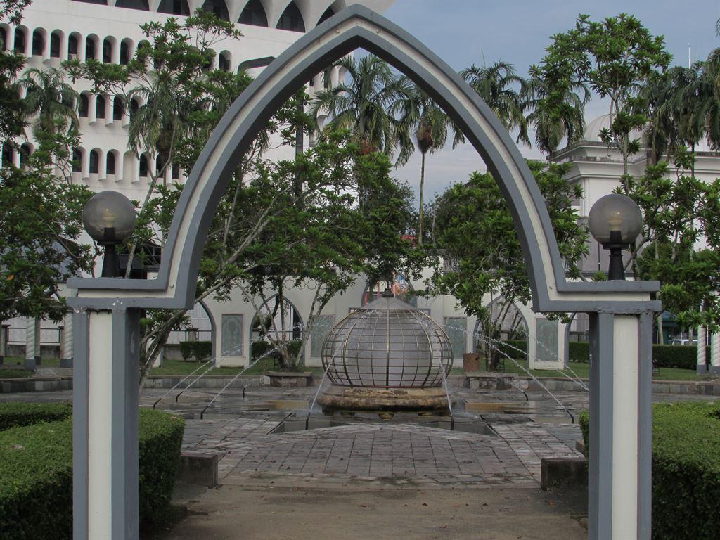 garden