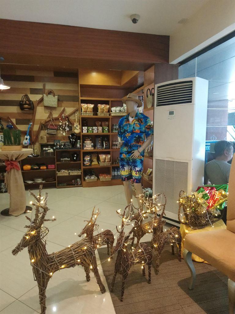 reindeer