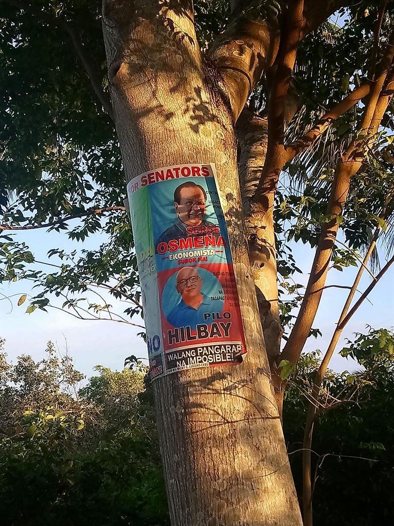 election