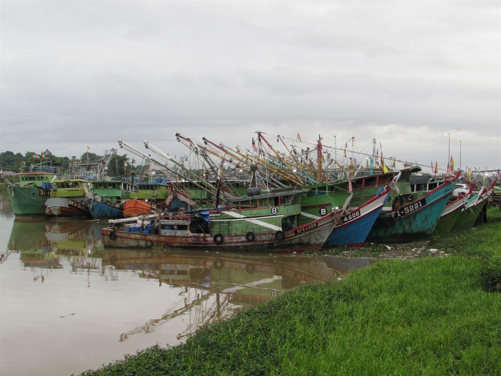 boats