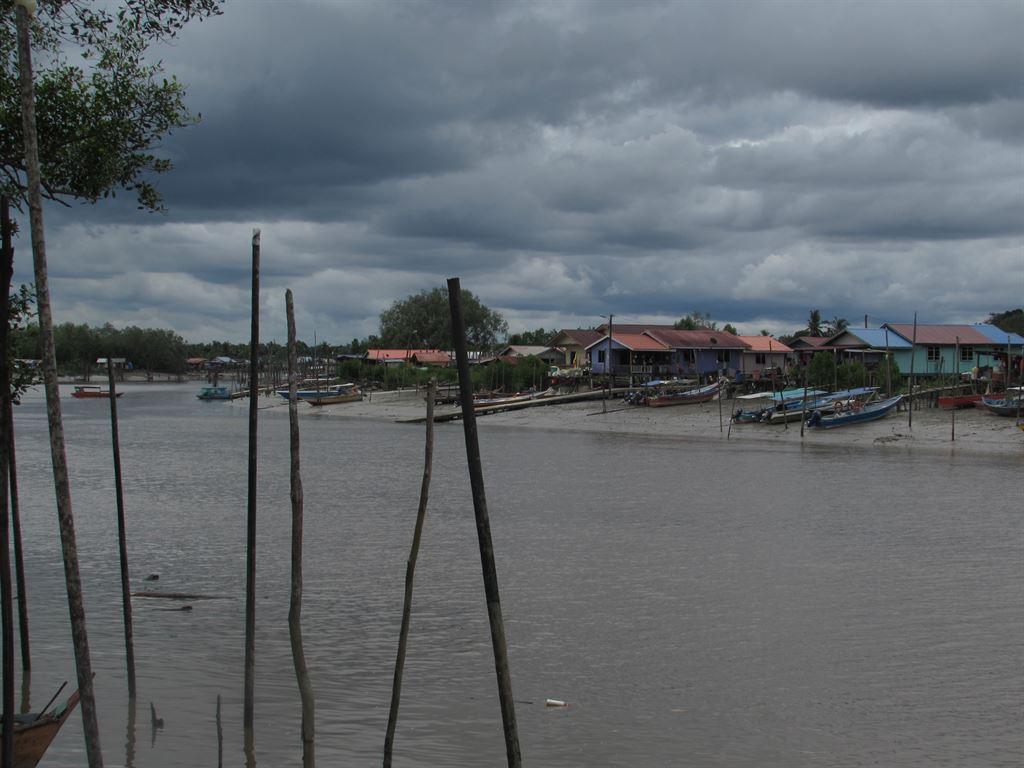 bako2