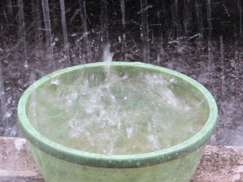 bucket