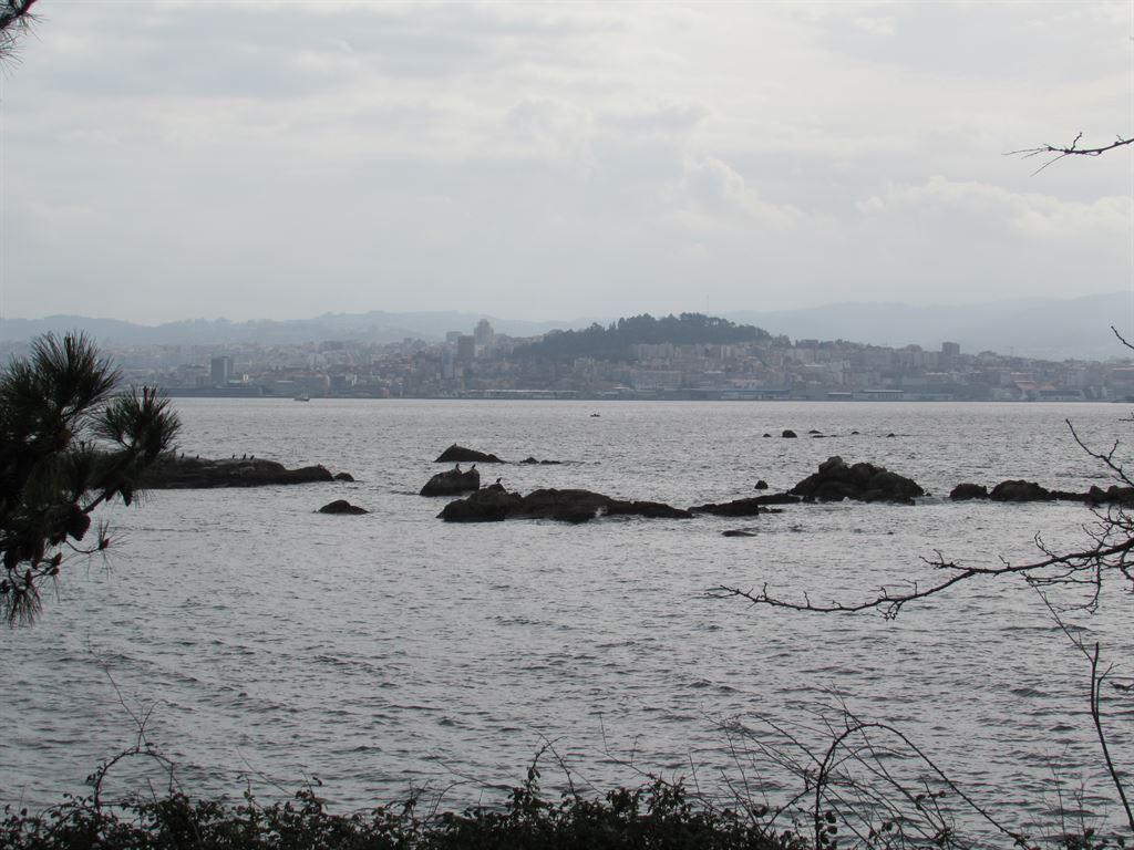 rocks
