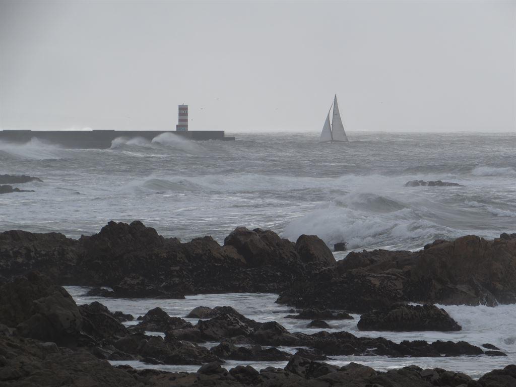 roughsea