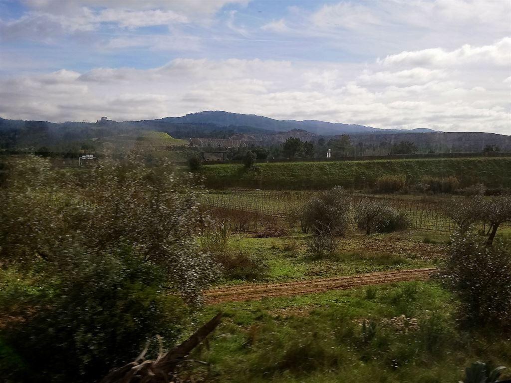 countryside