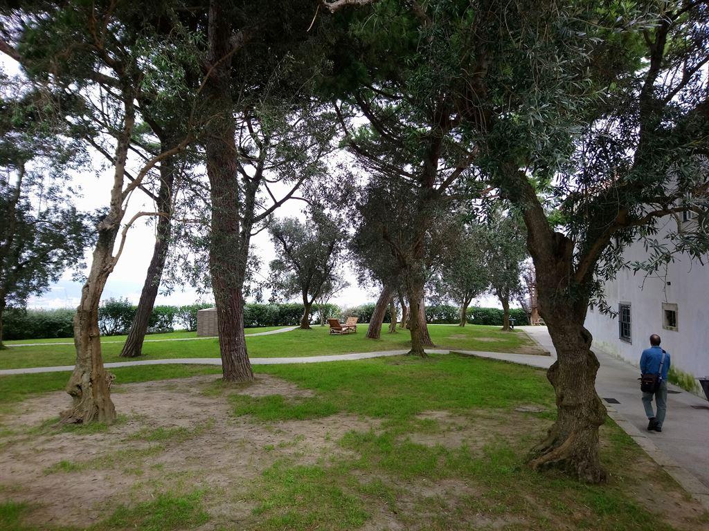 garden1
