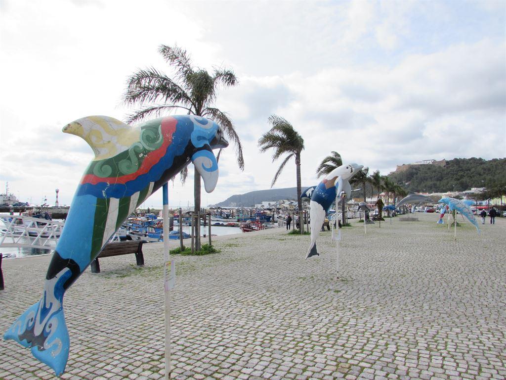dolphins