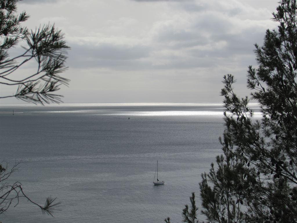 sea
