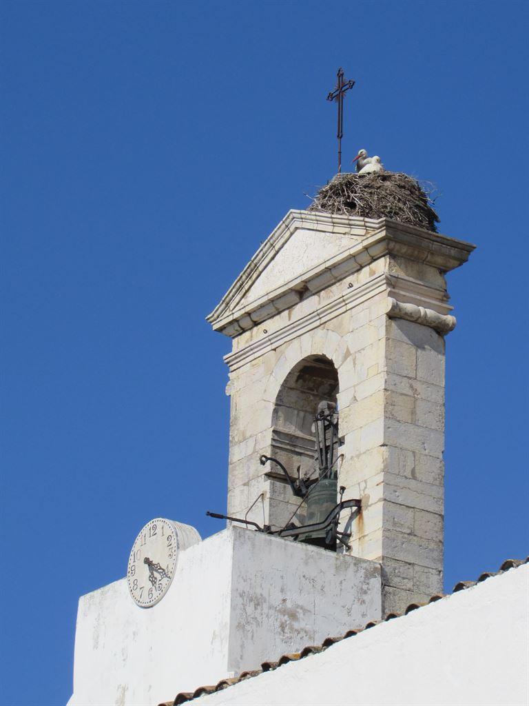 stork1