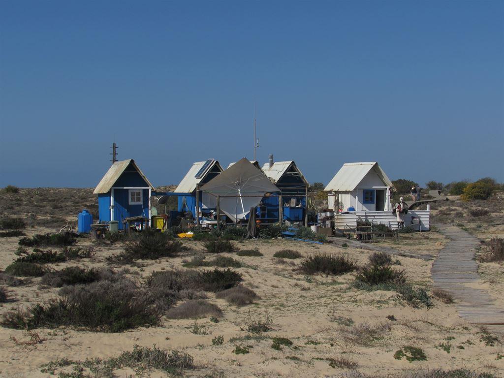 weirdhuts