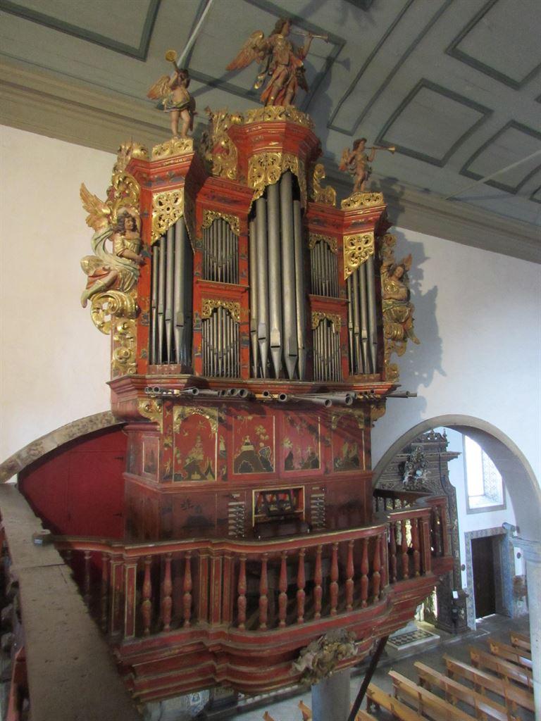 organ