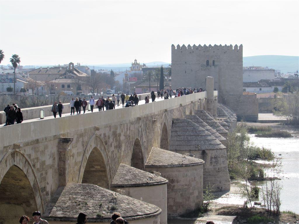 bridge