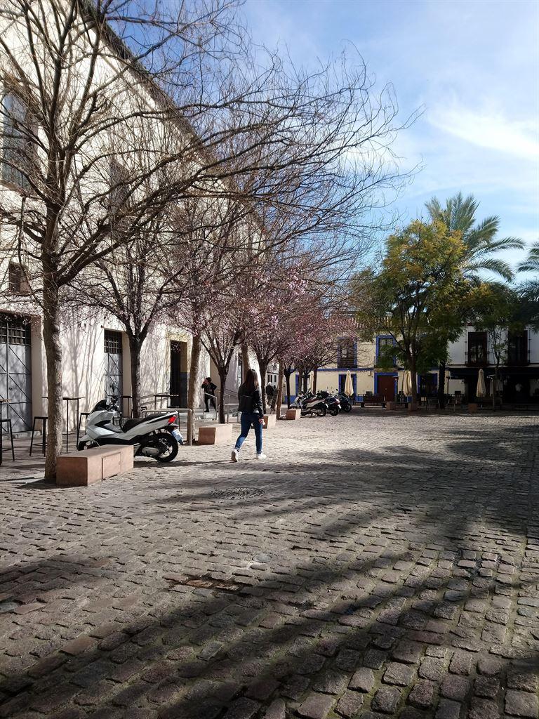 smallsquare