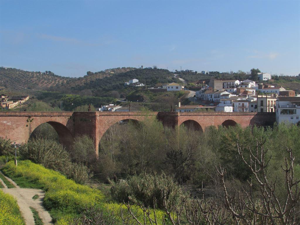 bridge1