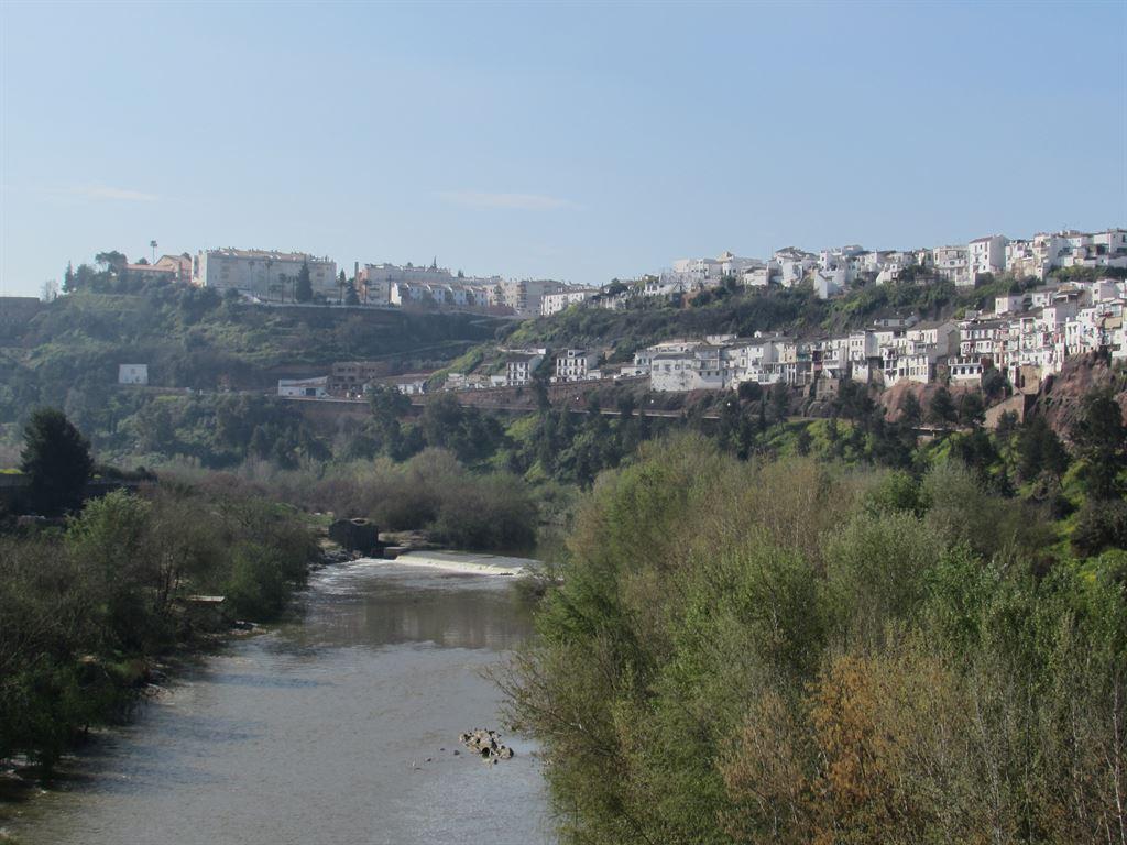 view1