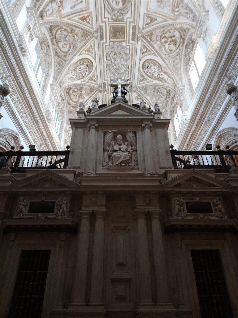 lookingup1
