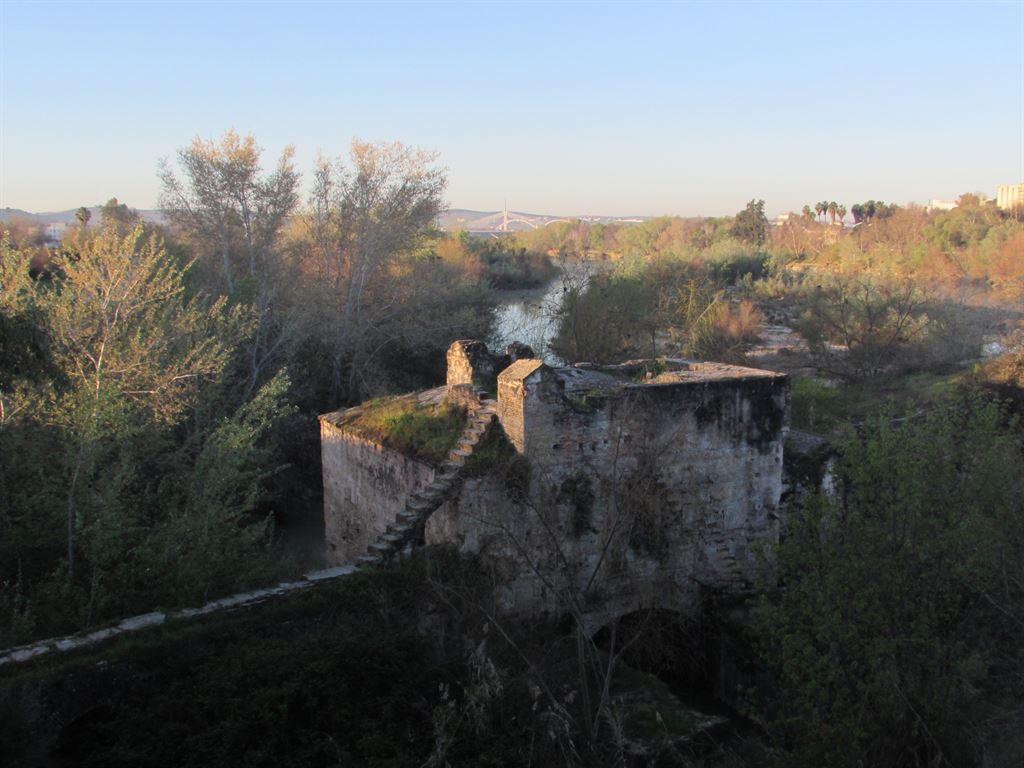 mill