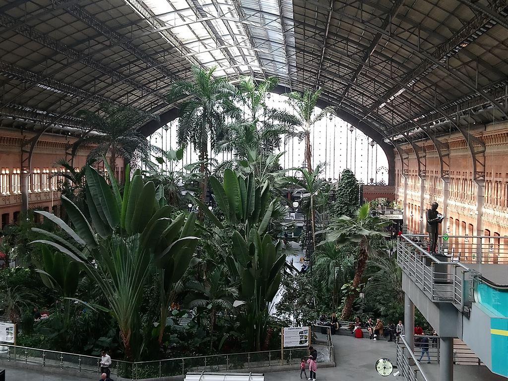 plants