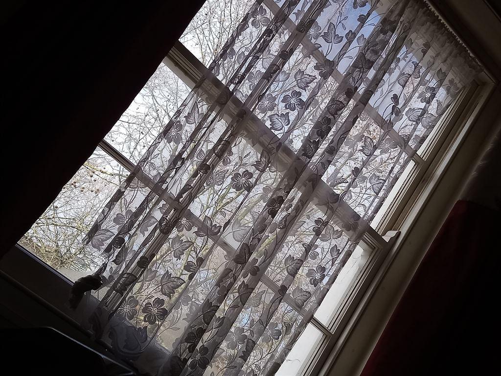 curtains