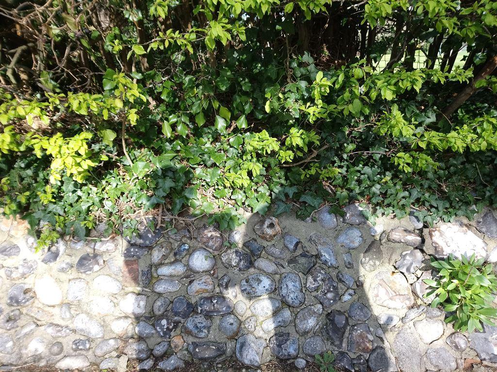 wall