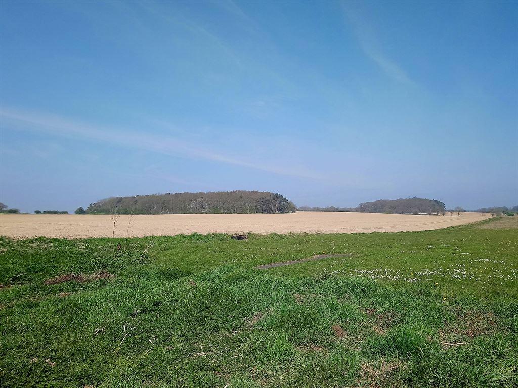 field