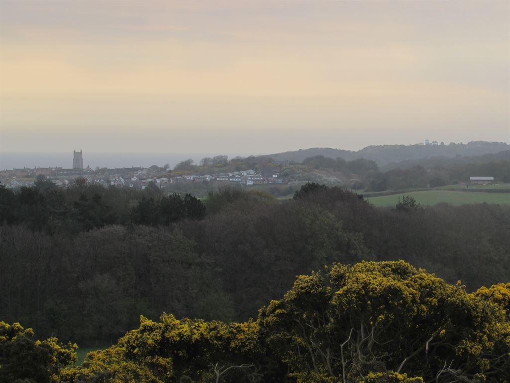 view