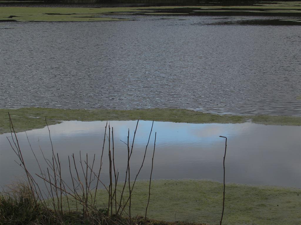 lake