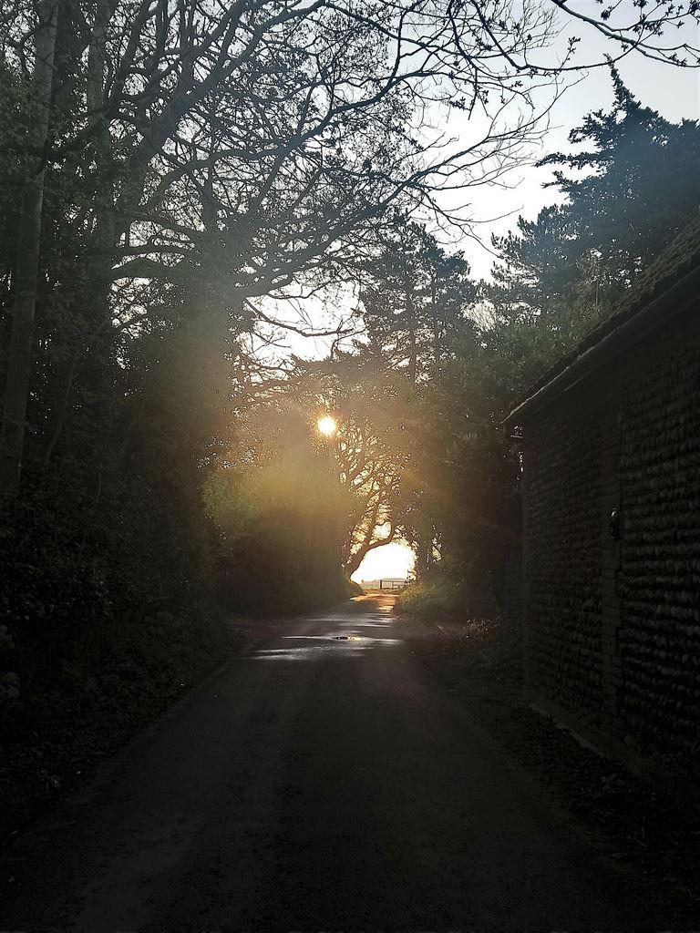 sunburst