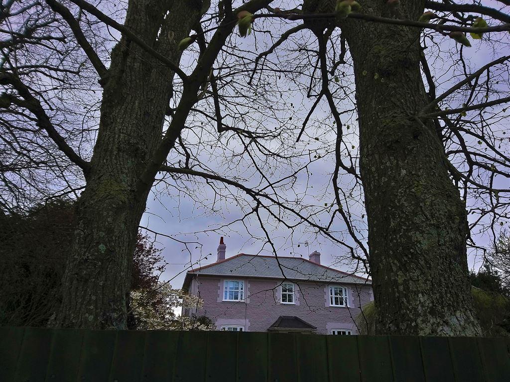 purplehouse