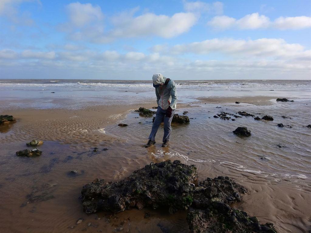 nigelbeach