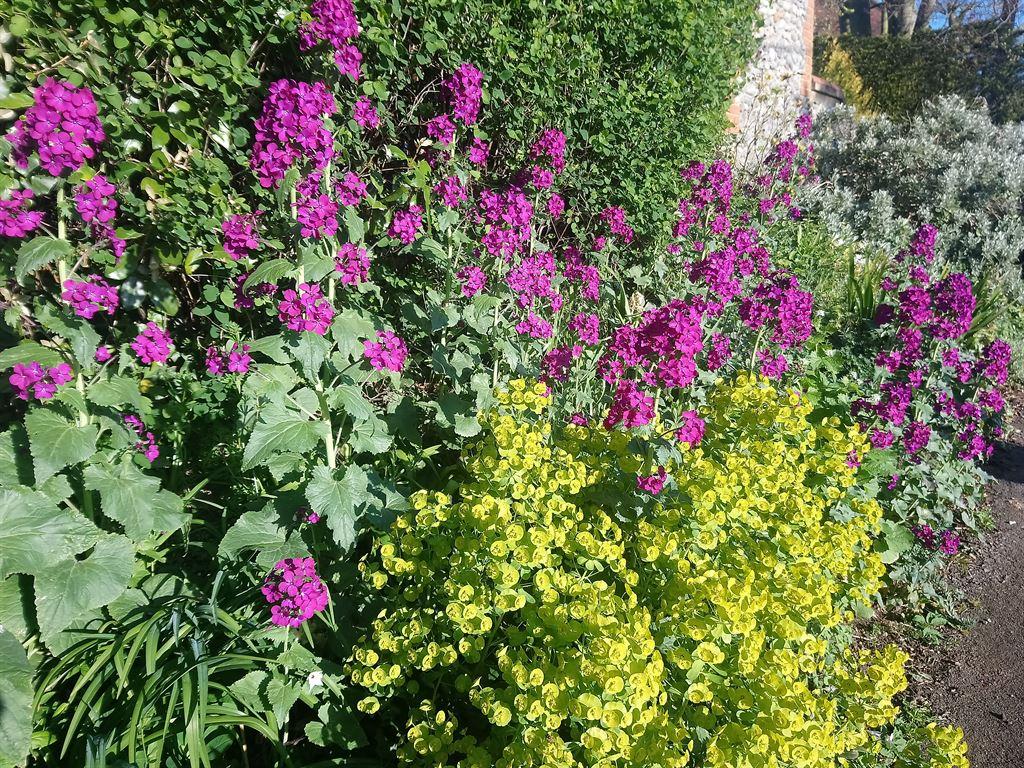 purple&green2